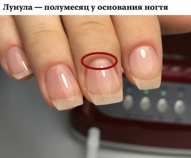 Трапецивиднаяформа ногтей