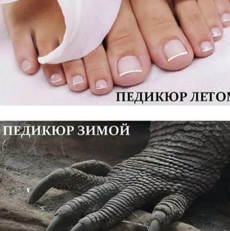 Афоризмы про маникюр и педикюр