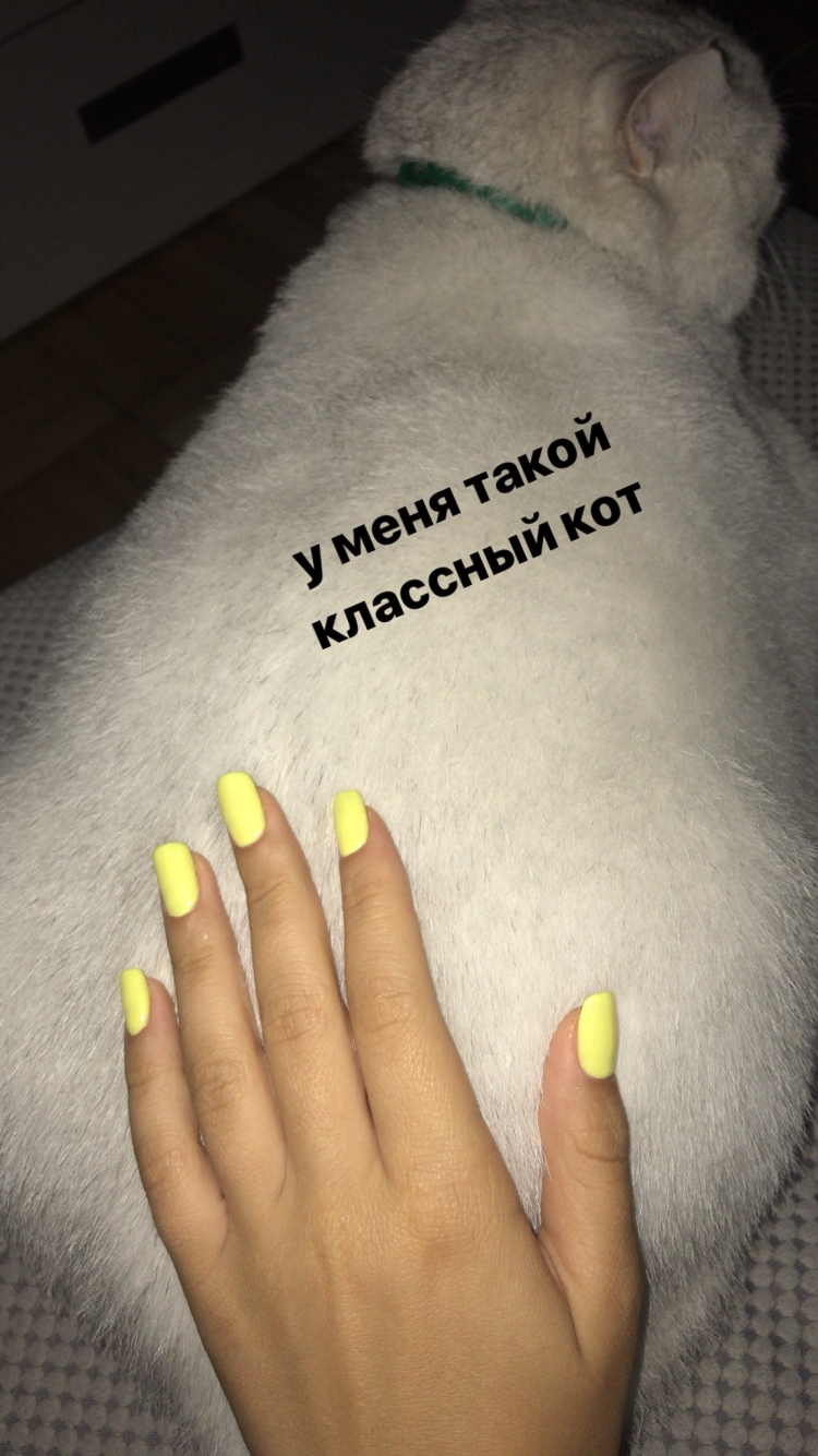 Шутки про маникюр