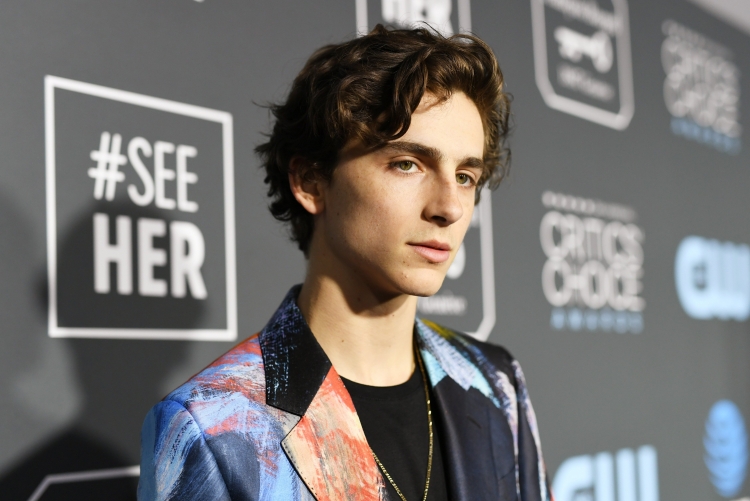 Тимоти Шаламе Timothée Chalamet