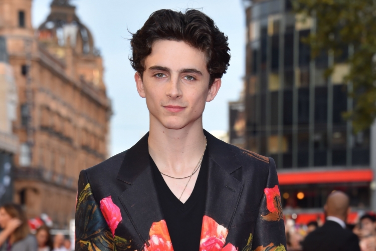 Тимоти Шаламе Timothée Chalamet