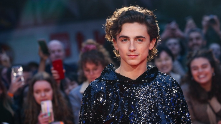 Тимоти Шаламе Timothée Chalamet