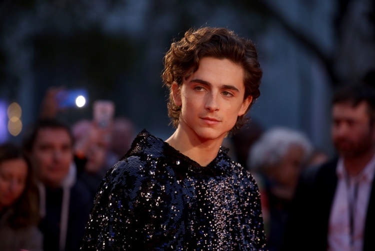 Тимоти Шаламе Timothée Chalamet