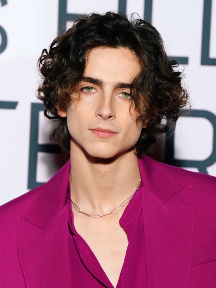 Тимоти Шаламе Timothée Chalamet