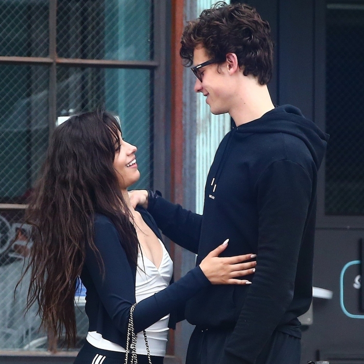 Shawn Mendes Camila Cabello