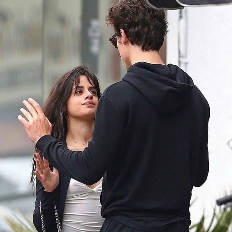 Camila Cabello и Шон Мендес