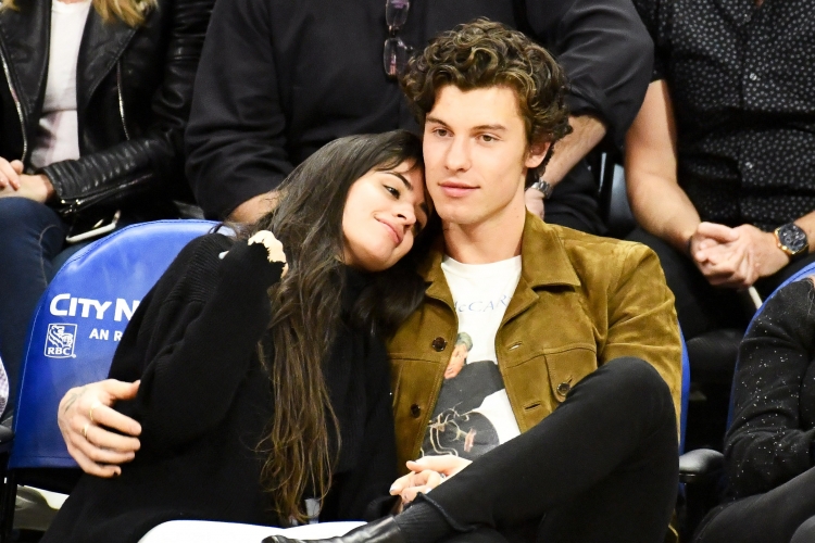 Shawn Mendes Camila Cabello