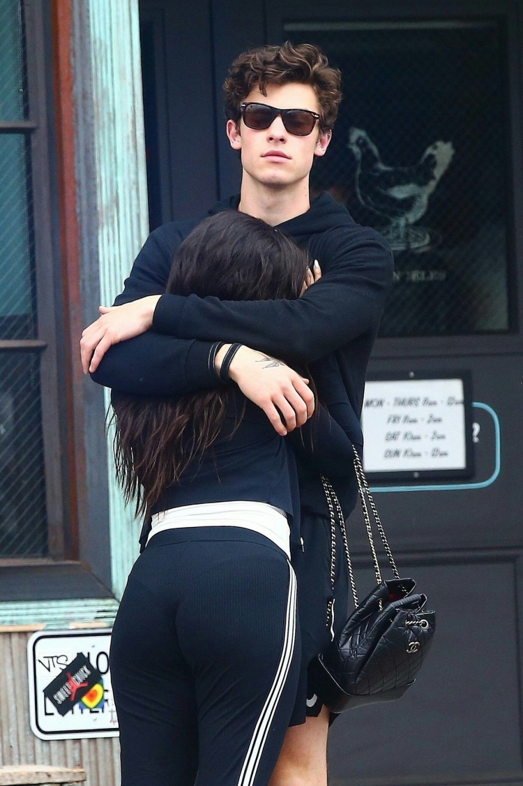 Shawn Mendes Camila Cabello