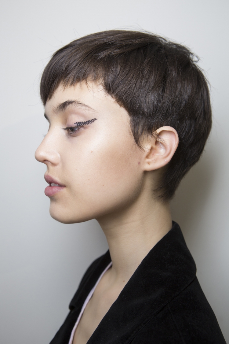 Thick Shorthair