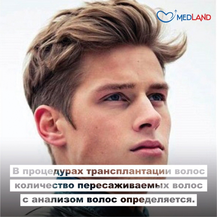 Андеркат британка мужская