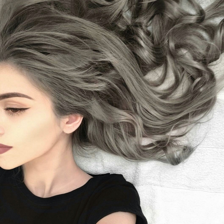 Сильвер грей ( Silver Gray )