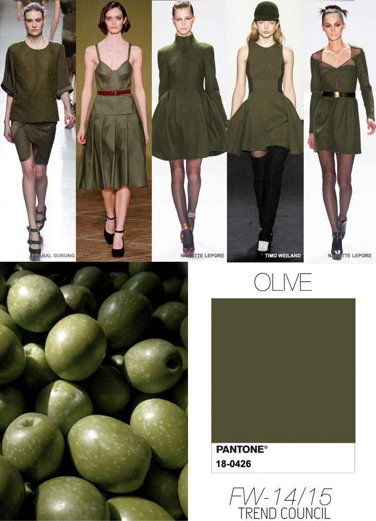 Military Olive цвет пантон