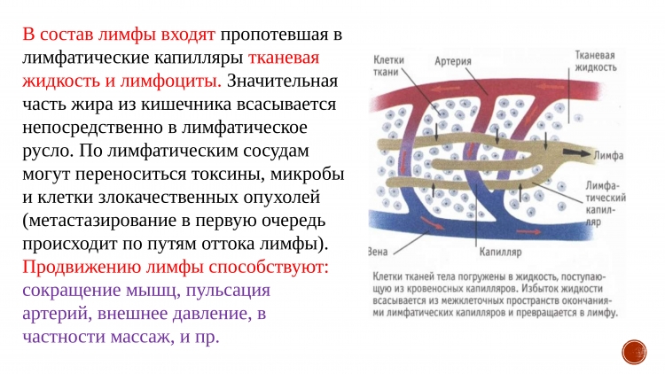 Лимфодренажный аппарат для прессотерапии Green Press
