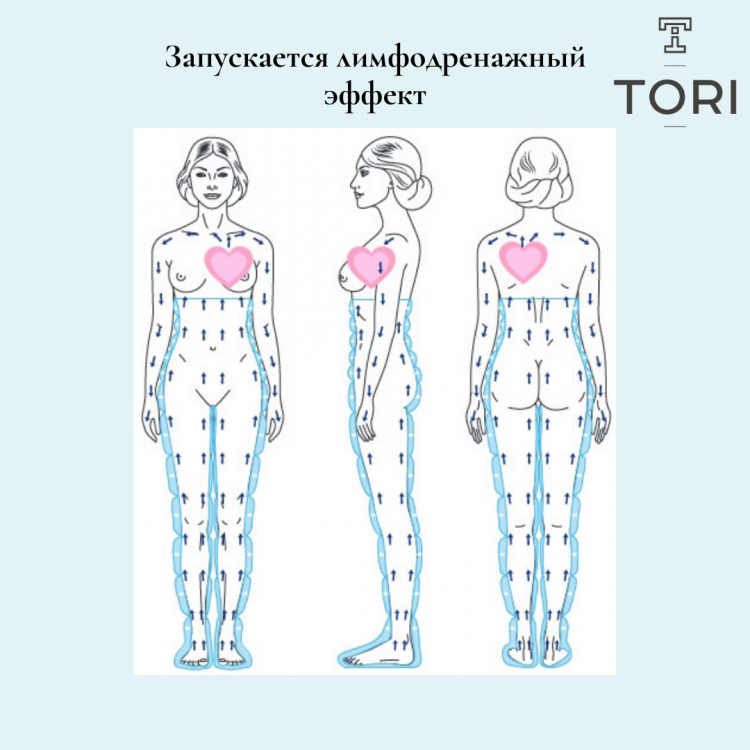 Схема лимфодренажа