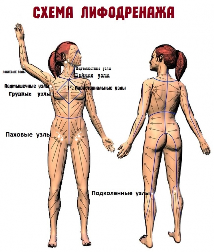 Лимфатическая система массаж