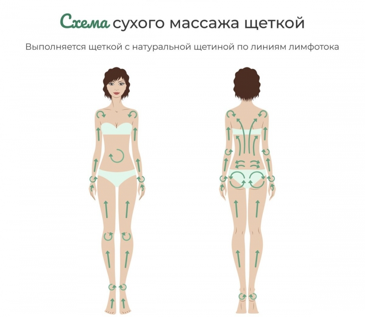 Схема антицеллюлитного массажа сухой щеткой